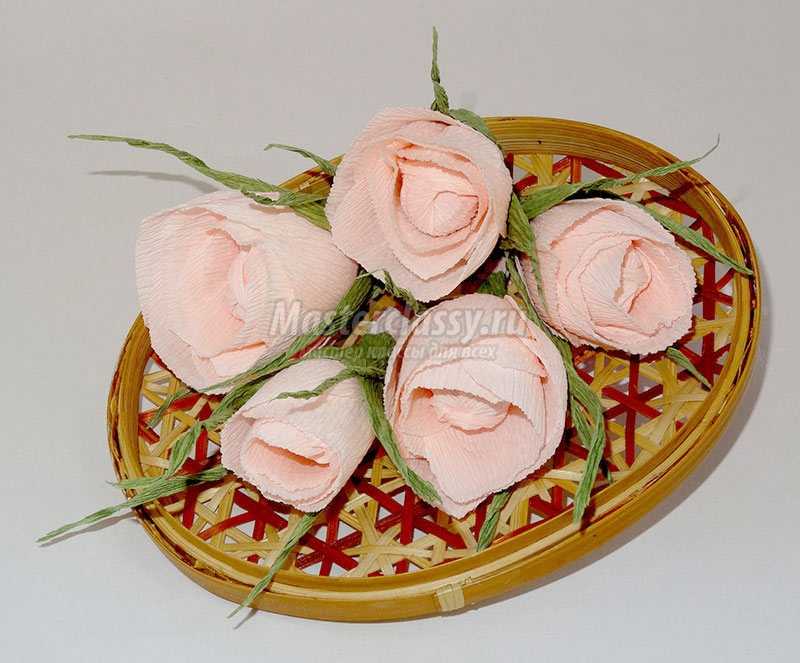 Ростовые цветы из гофрированной бумаги своими руками (44 фото): мастер-классы по изготовлению больших пионов, роз, одуванчиков из гофробумаги