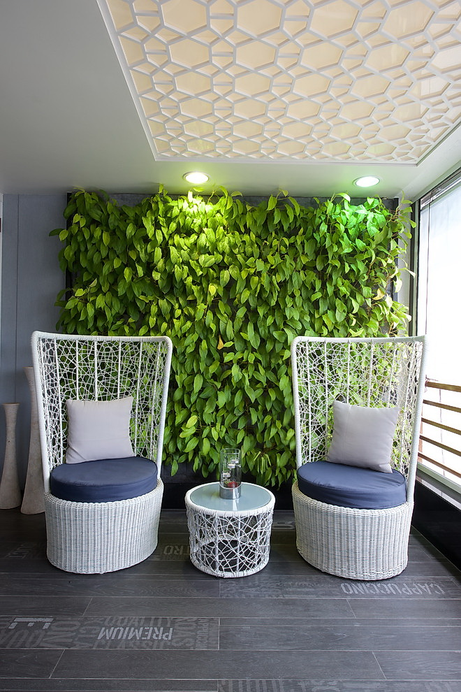 Вертикальный сад в квартире: потрясающие идеи зеленого уголка своими руками - огород, сад, балкон - медиаплатформа миртесен