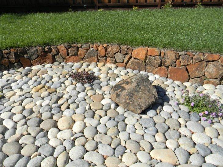Виды рокариев для каменистого сада и способы обустройства