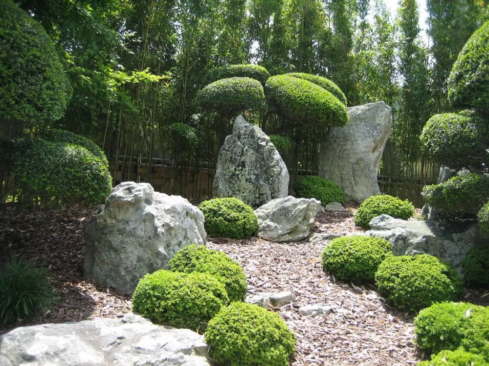 Японский сад в ландшафтном дизайне: как оформить, в каком стиле, выбор растений