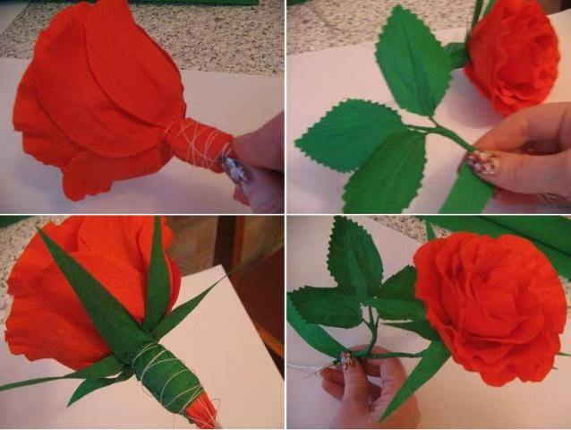 Ростовые цветы из гофрированной бумаги своими руками (44 фото): мастер-классы по изготовлению больших пионов, роз, одуванчиков из гофробумаги