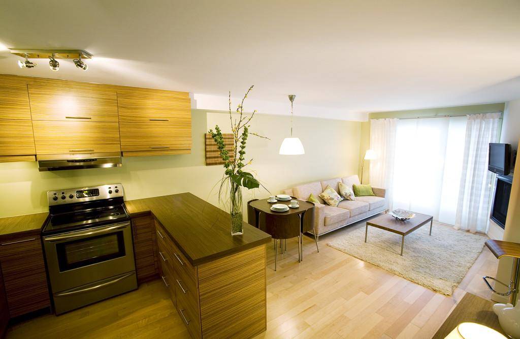 Дизайн кухни 10 кв. м с диваном (61 фото): кухня-гостиная и кухня-спальня 10 квадратных метров с балконом, планировка интерьера со спальным местом