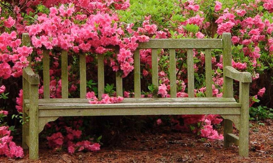 70 вариантов садовых скамеек для уютного сада