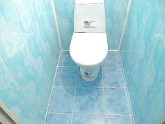 Отделка туалета пластиковыми панелями (61 фото): дизайн помещения и ремонт своими руками, как обшить потолок пвх-панелями