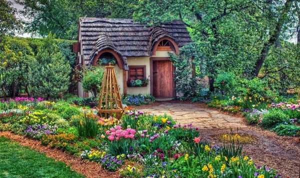 Правильное озеленение двора своими руками: 110 фото как просто и красиво украсить цветами и растениями двор