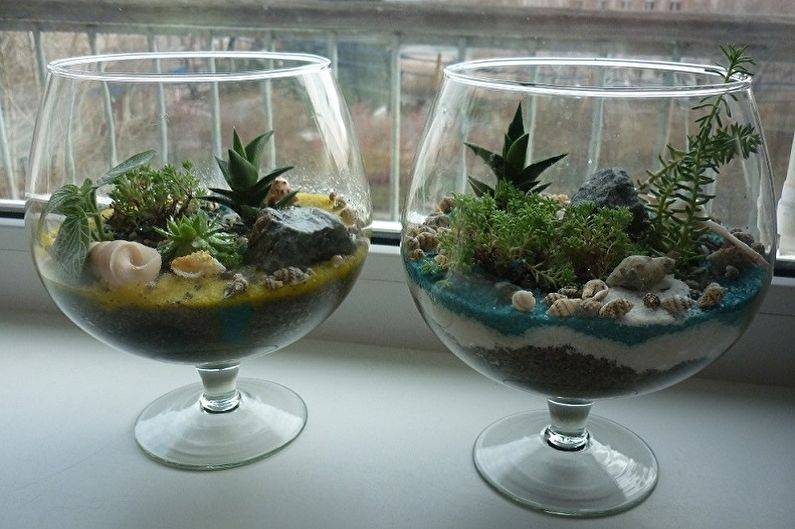 Как сделать флорариум своими руками для начинающих, и что для этого нужно: выбор растений и декоративных камней, оригинальные идеи необычных флорариумов с пошаговой инструкцией | qulady