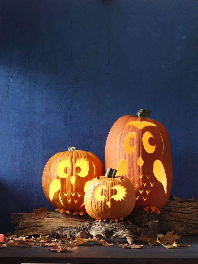 Тыква на хэллоуин своими руками: 25 идей с фото и шаблонами