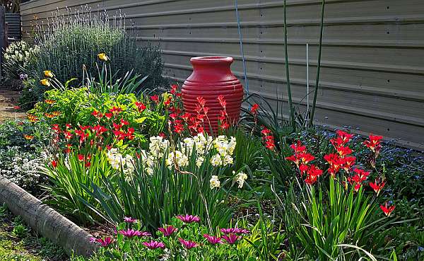 Обзор популярных многолетних цветов для сада и огорода с названиями и фото