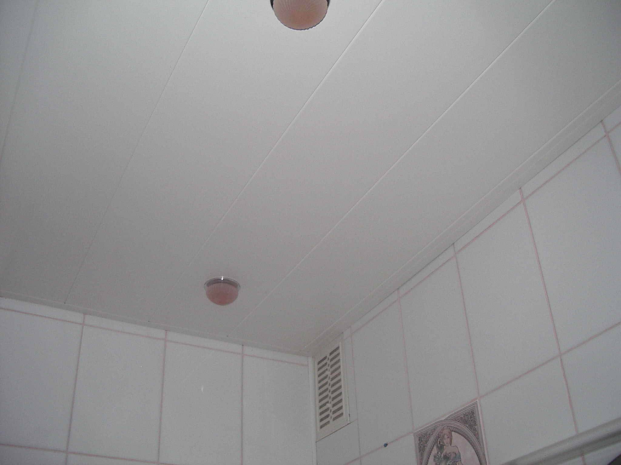 Потолок пвх в ванной - лучшие идеи монтажа и варианты современного дизайна (видео и 105 фото)