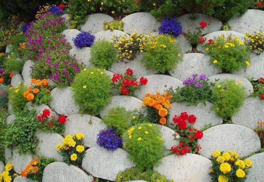 Как выбрать красивые однолетние цветы для клумбы: разновидности, схема посадки и правила ухода