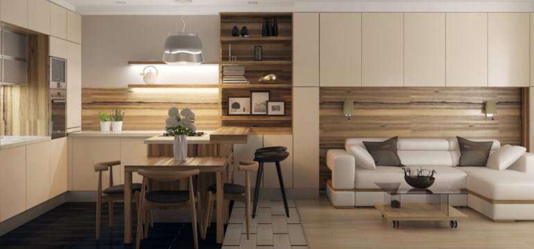 20 лучших примеров дизайна кухни-гостиной 25 кв. м